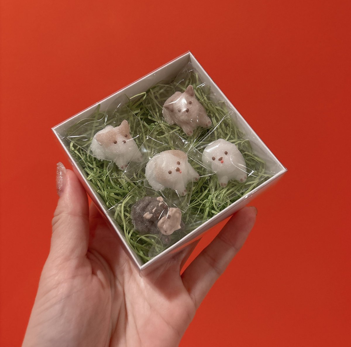 友だちがくれたお砂糖、可愛すぎて涙でる🥲