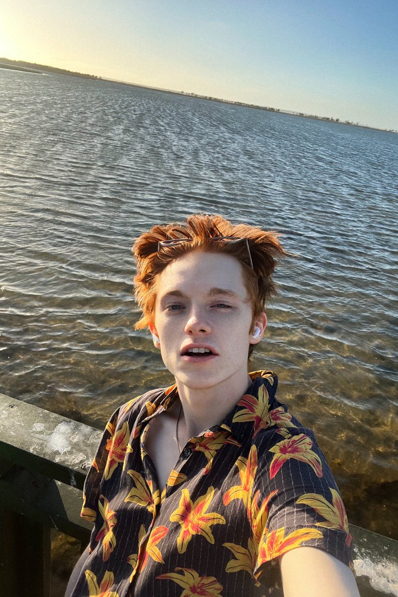 fraser tweet media