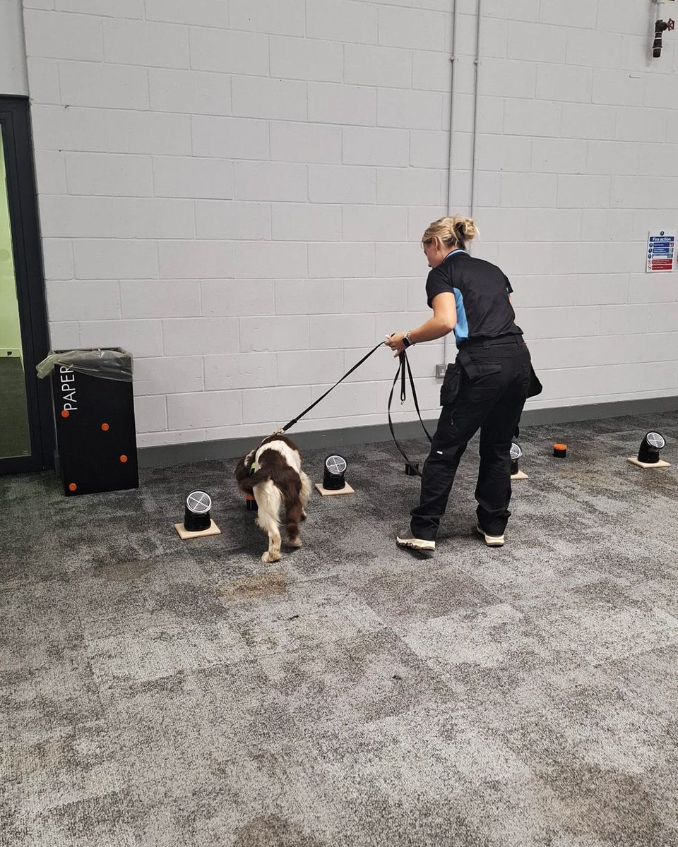 Great to bump into member company Merlin Environmental yesterday at the Cleaning Excellence Conference in Coventry. 🤩 

Yesterday was a great opportunity for our training officer John Horsley to give a seminar on how cleaning operatives can spot infestation signs early. 🕵️