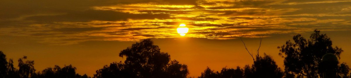 poohthebear0's tweet image. worth the wait