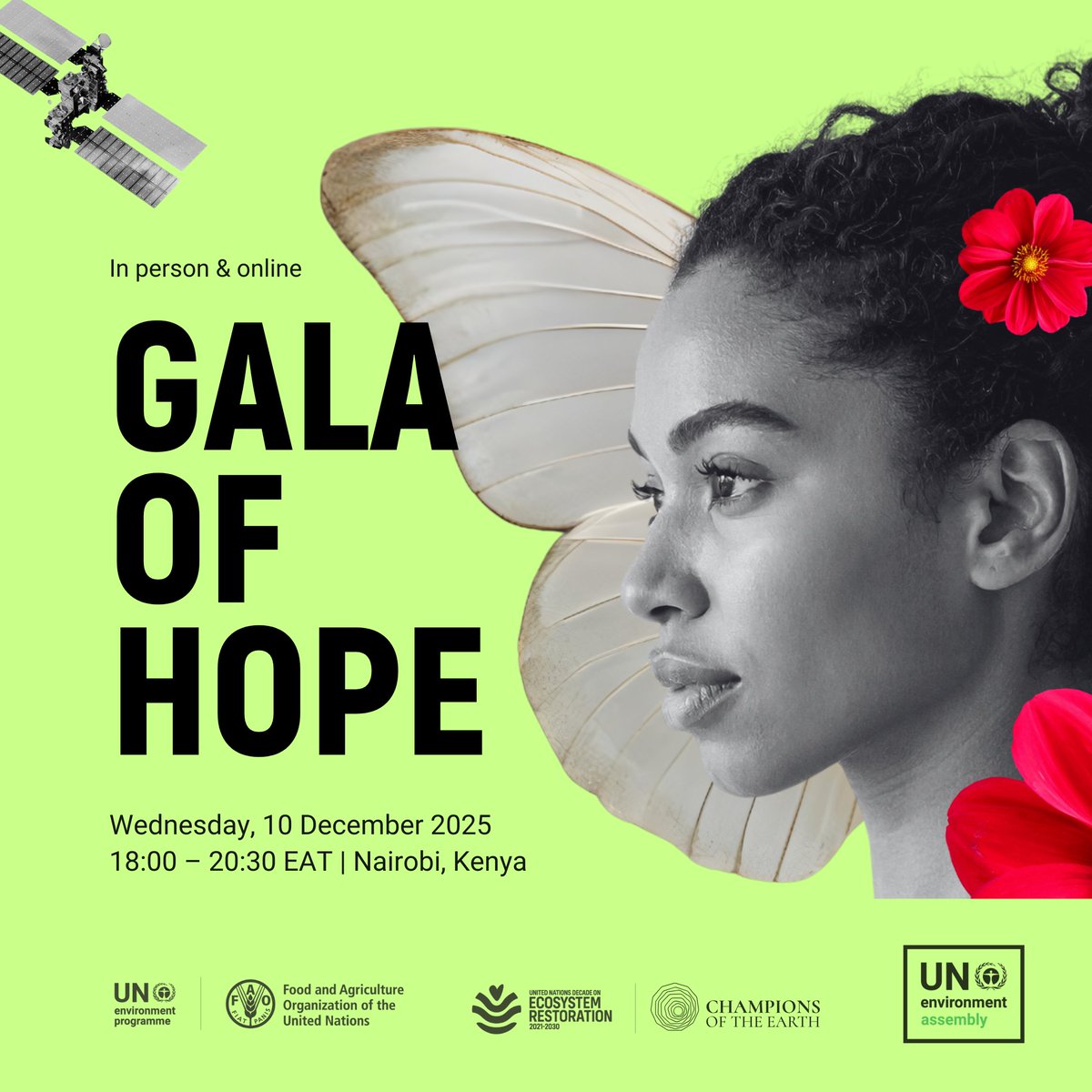 FAO Forestry tweet media