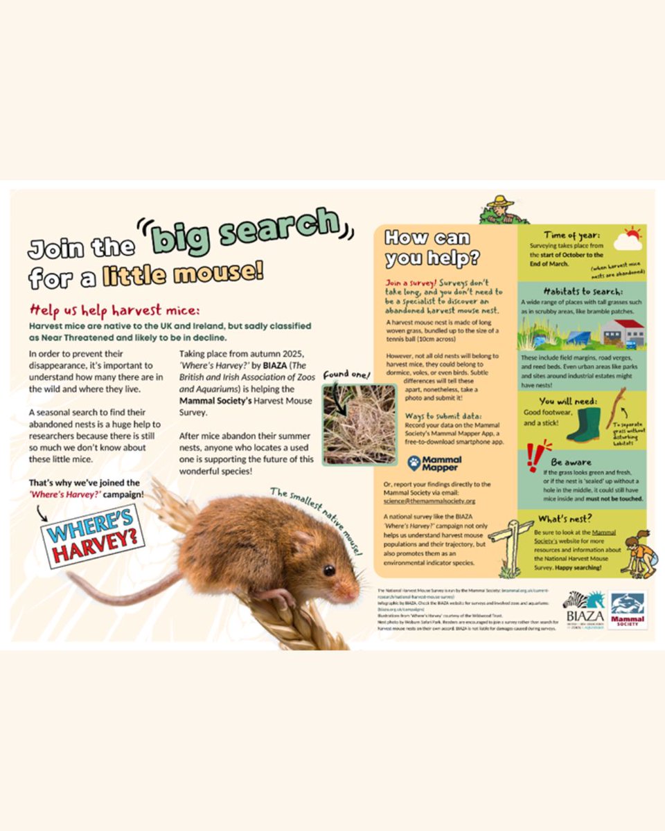 Golders Hill Park Zoo tweet media