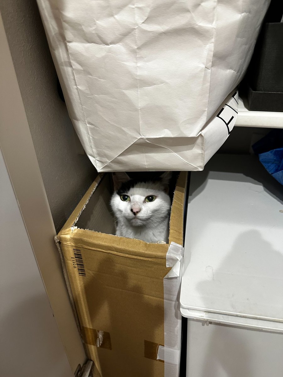 とっても嬉しそうだけどそこはゴミ箱です