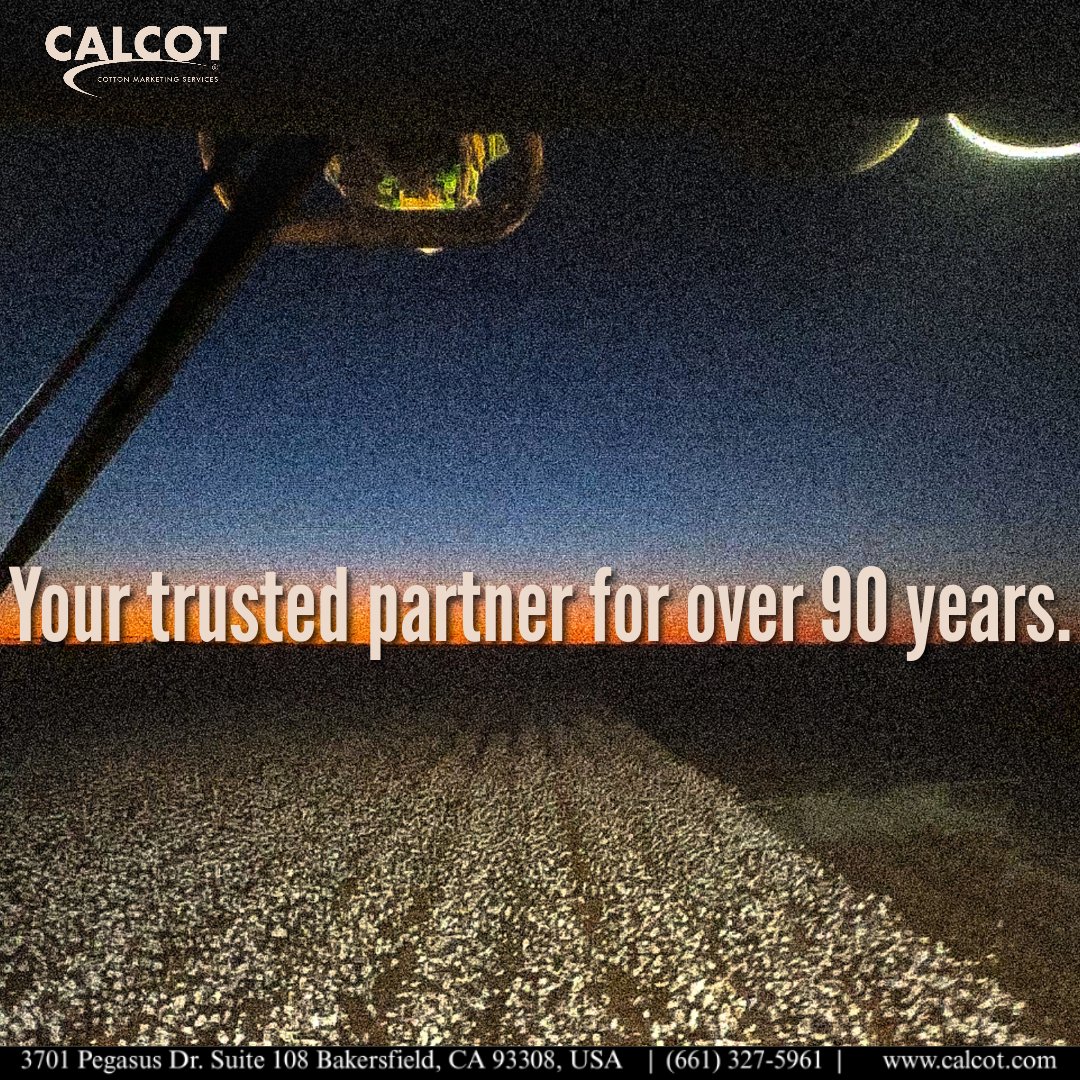 Calcot’s been your partner for over 90 years.  Join us to market your cotton globally.
Visit calcot.com/join to learn more. 

#CottonMarketing #CalcotCoop #GrowWithUs