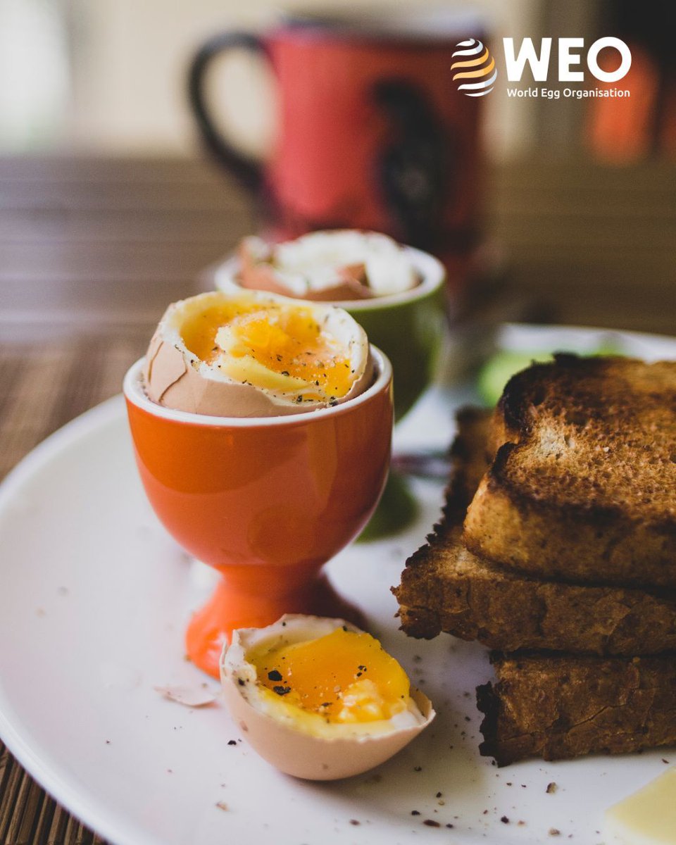 World Egg Organisation tweet media