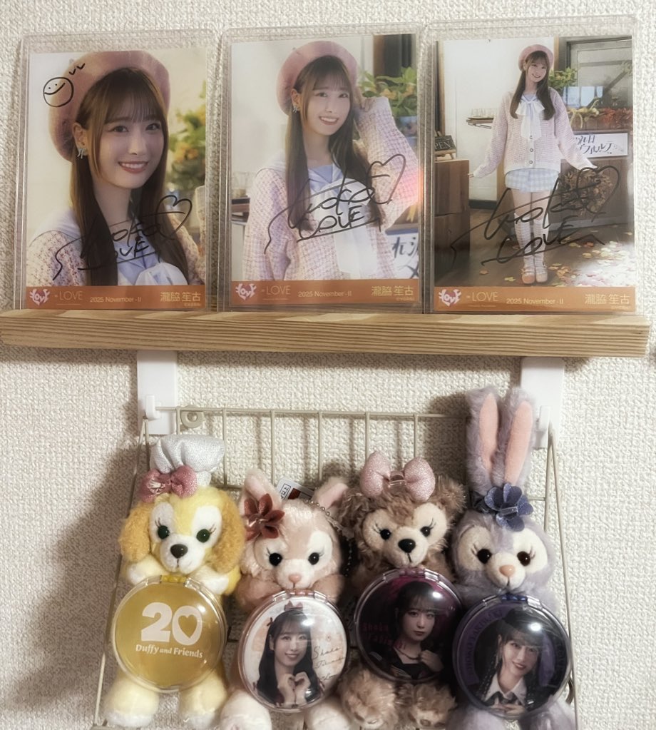 ❄︎••┈┈┈┈••❄︎••┈┈┈••❄︎••┈┈┈•• ❄︎ 冬はもうアクセル