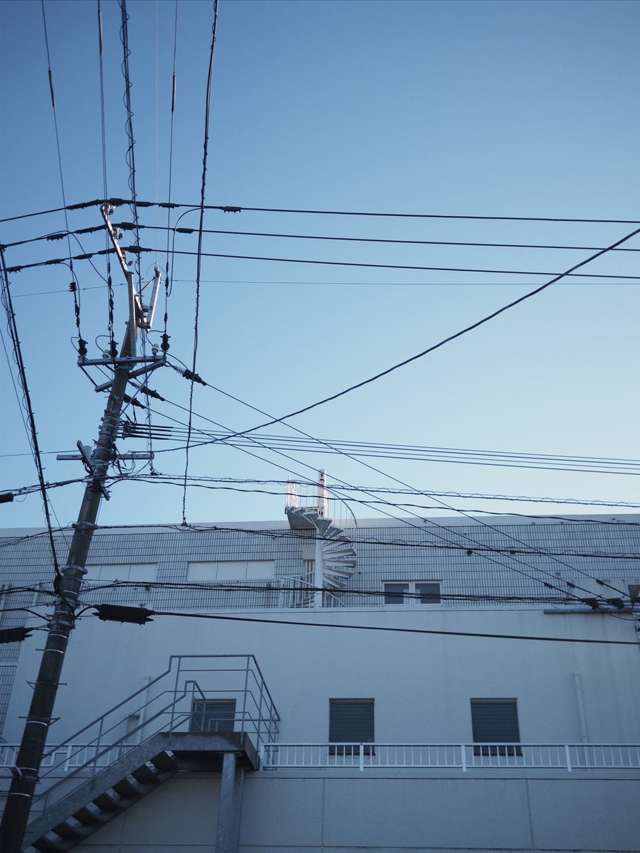 renna__3's tweet photo. 散歩で見つけたあお

 #空がある風景 
 #ファインダー越しの私の世界 
 #写真で伝える私の世界 
 #写真好きな人とつながりたい https://t.co/QtxmOd6m2d