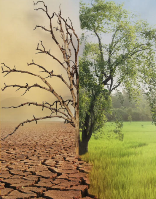 The Paddy Ashdown Forum tweet media