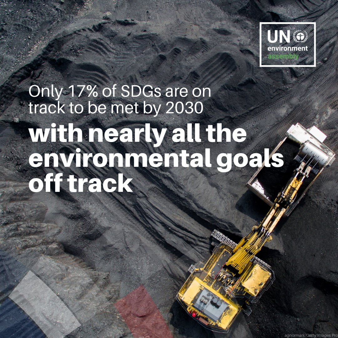 UN Environment Programme tweet media