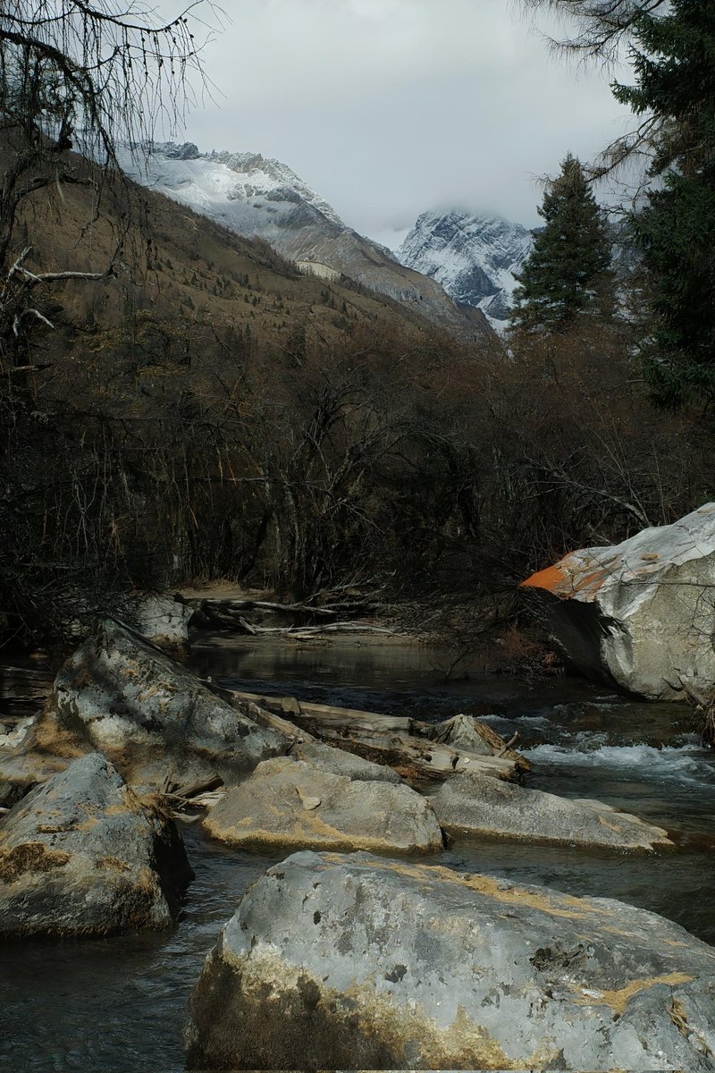 混世不吝 tweet media