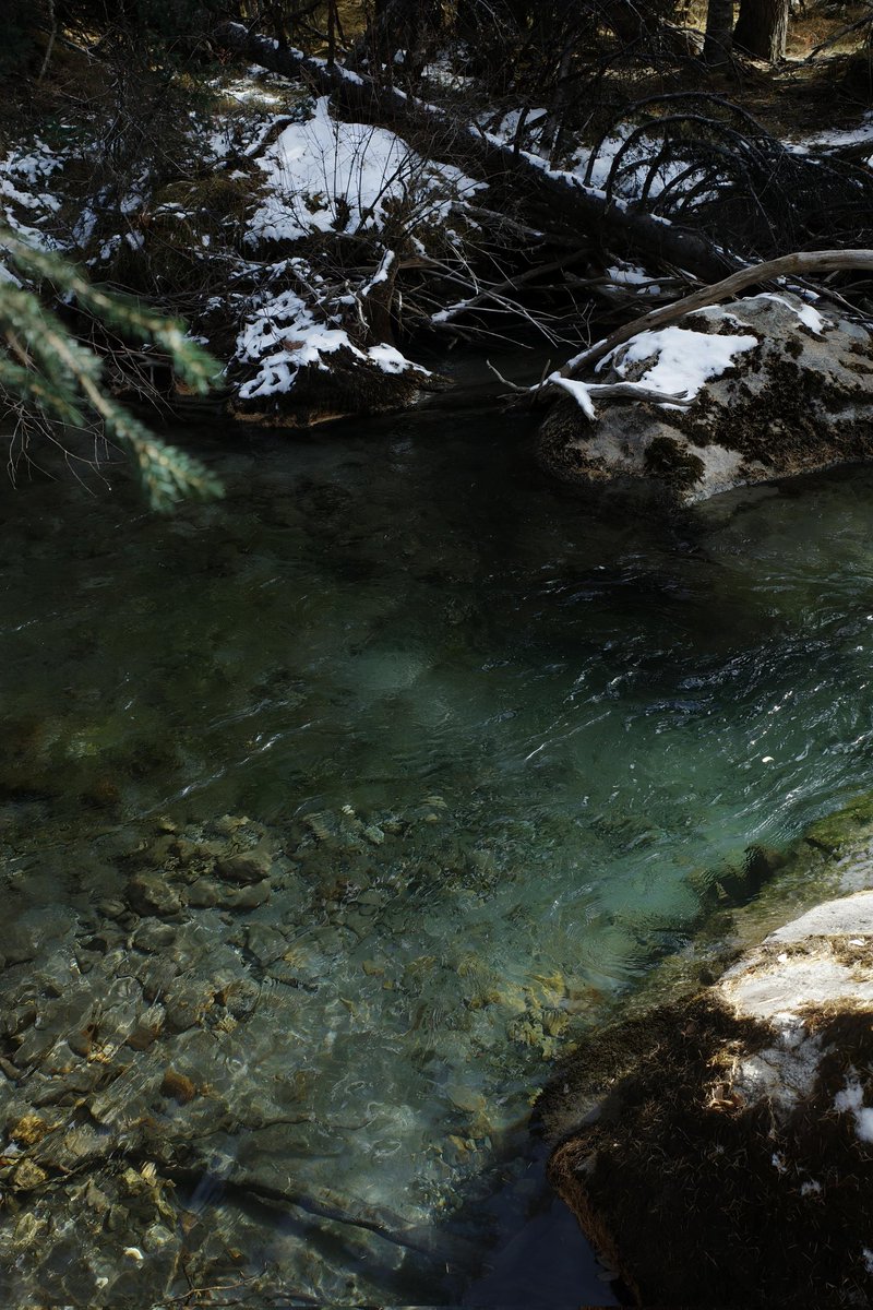 混世不吝 tweet media