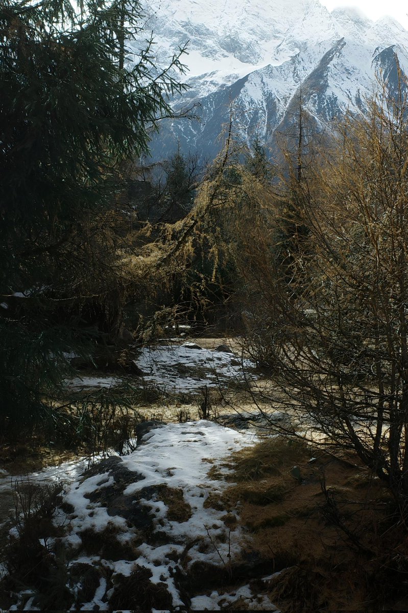 混世不吝 tweet media