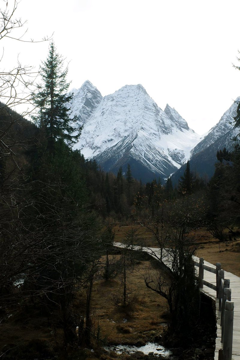 混世不吝 tweet media