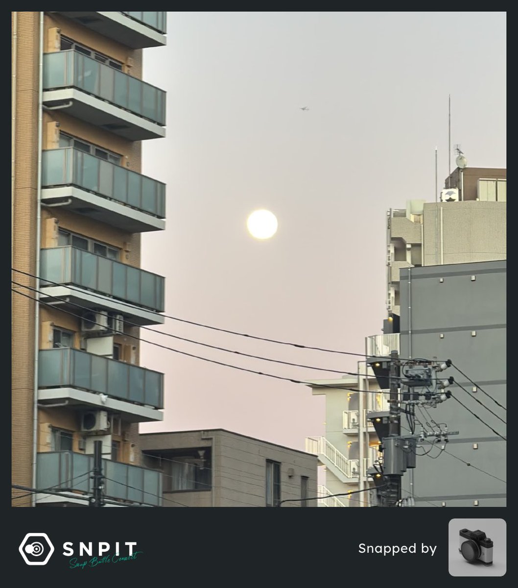 わごむ tweet media