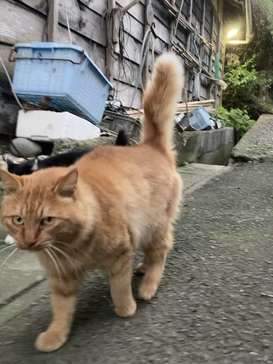 ルイーゼにも会えて安心しました☺️ 4枚目はポッカリと空に浮かんで