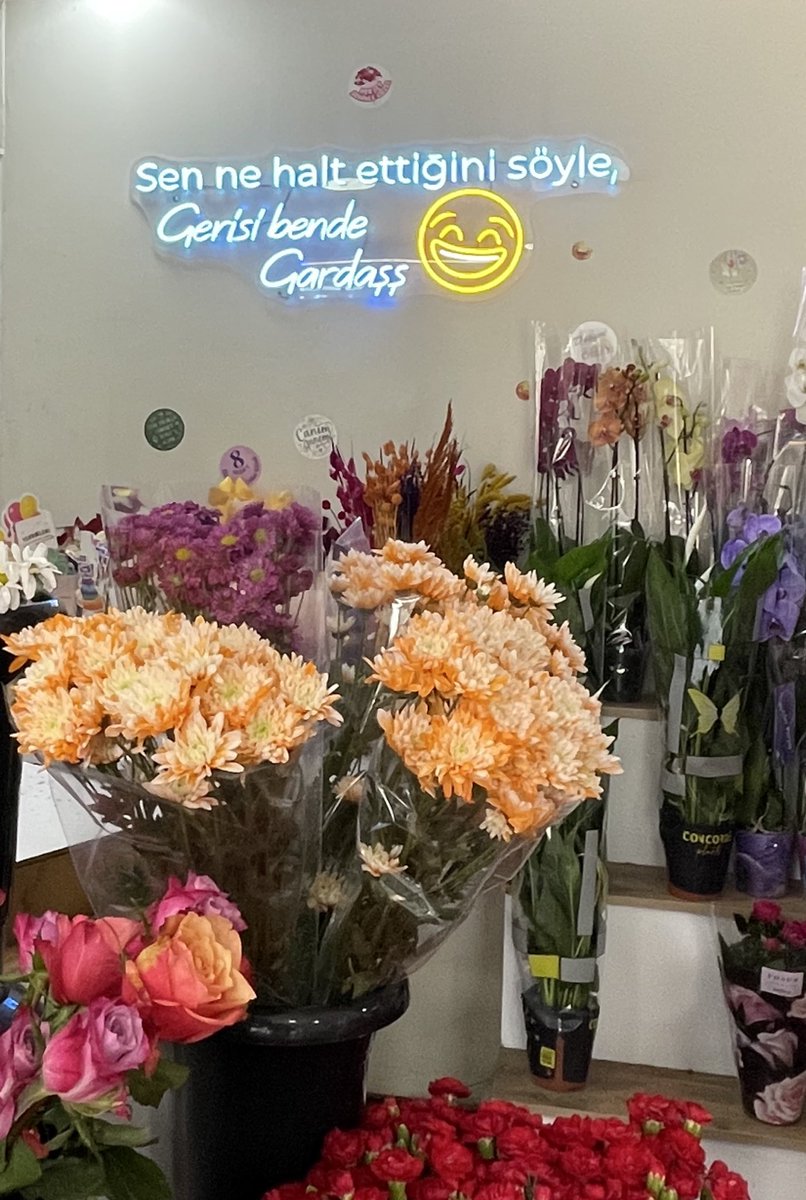 Yav bi halt ettik işte ver oradan bi kokina mokina gardaşş.