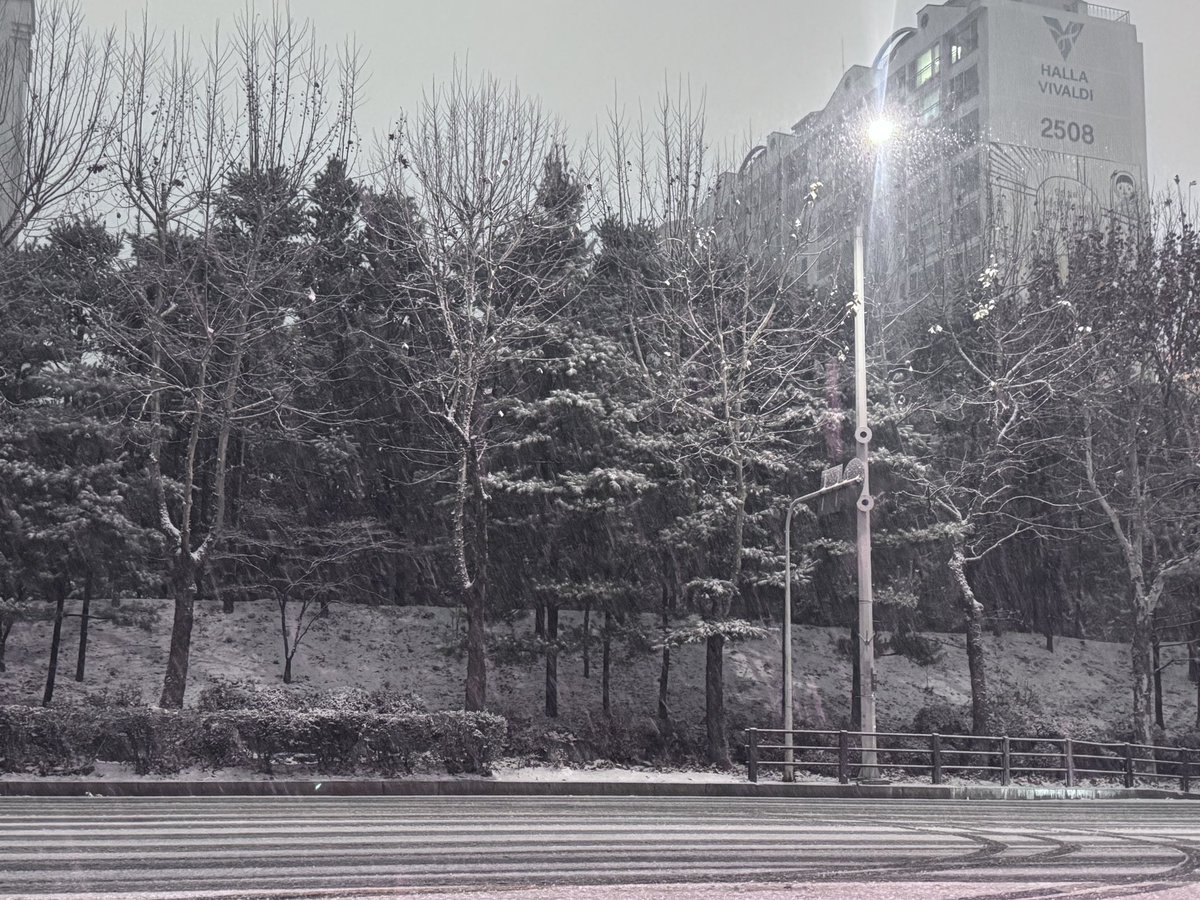 눈 진짜 많이온다..