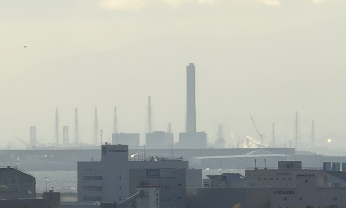 今朝の万博跡地
クレーンがいっぱい
IR建築か、はたまた大屋根リングの解体か