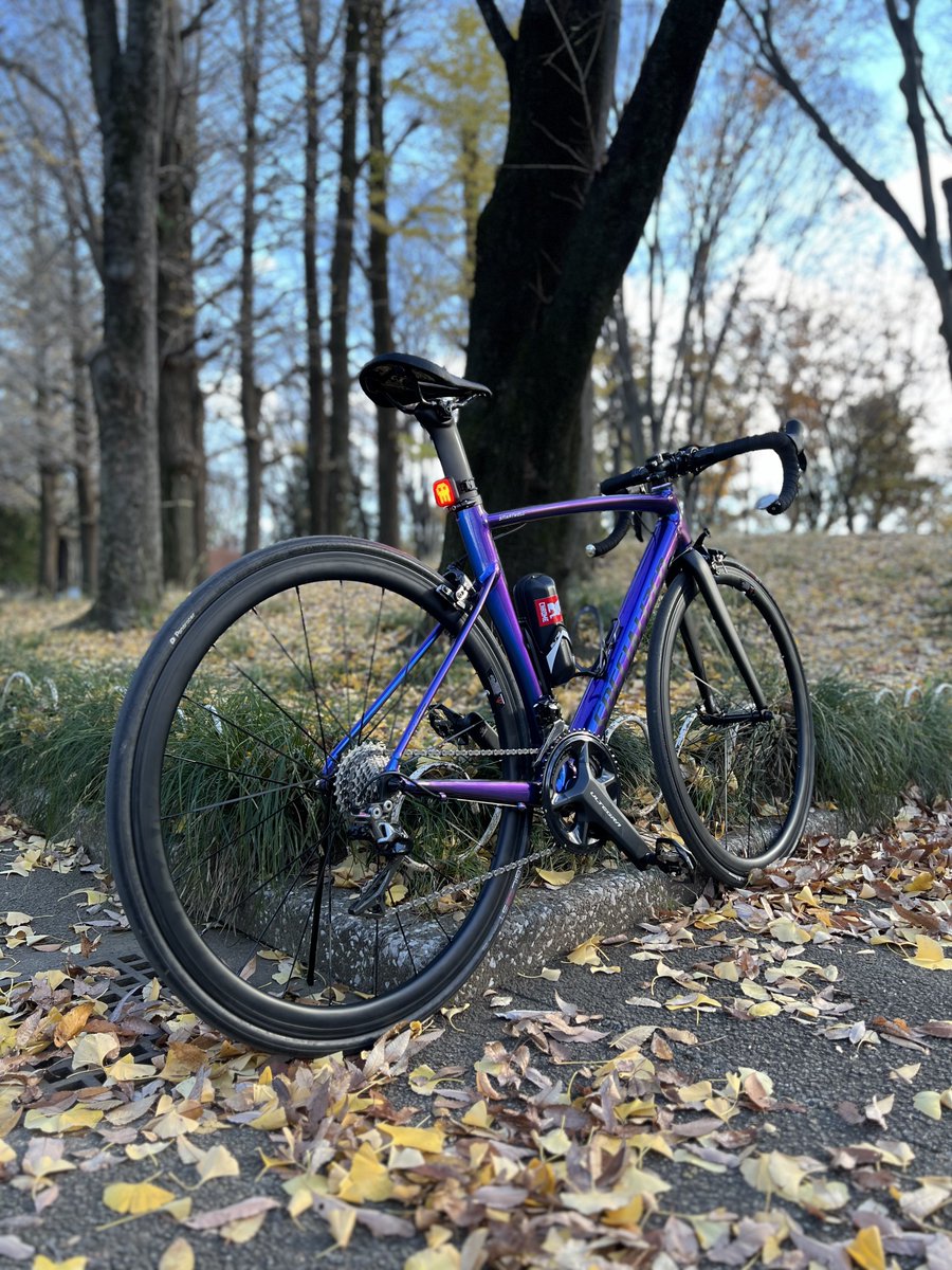 今年一番高い買い物はロードバイクだよな…🤔と思って振り返ったら昨年