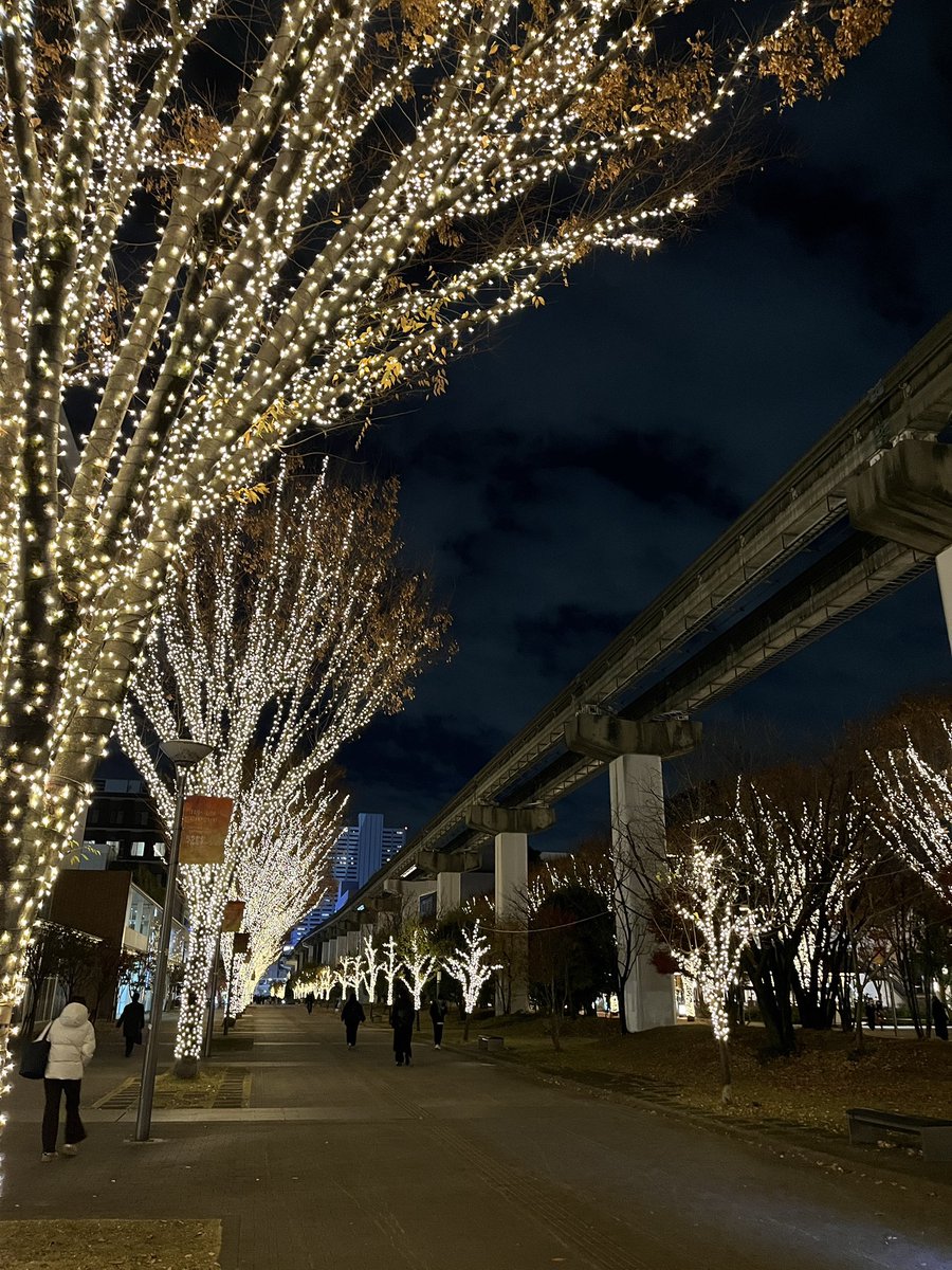すっごいなあ
枝の先まで電球巻き巻き
すっごいなあ
#立川 🎄