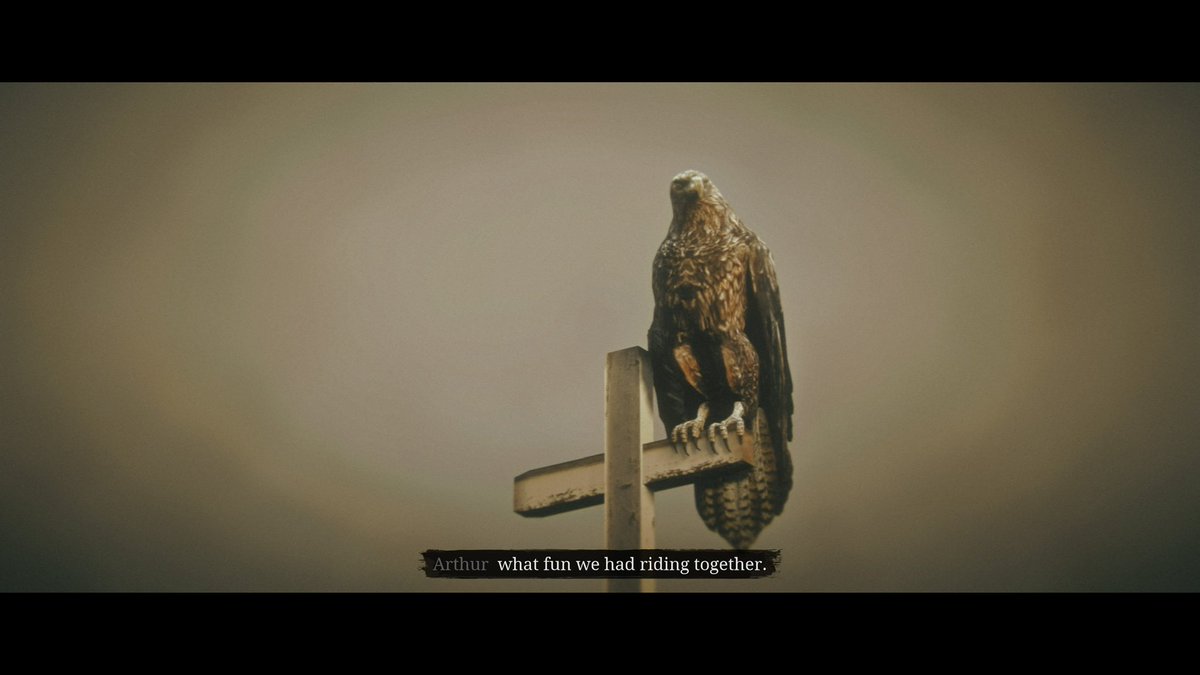 Gonna leave it here #reddeadredemption #rdr2