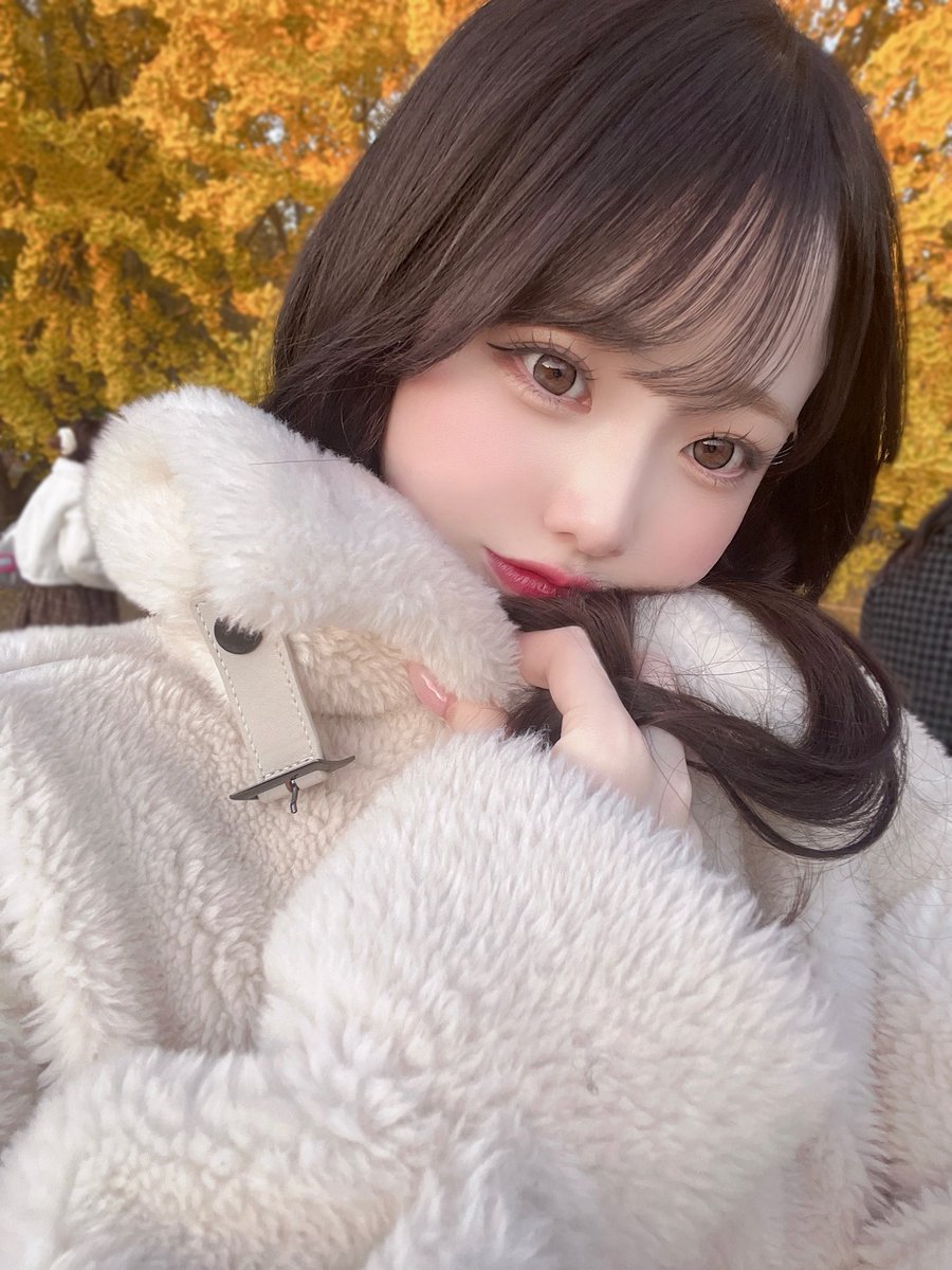 ぷりんちゃん (@puchan115) / Posts / X