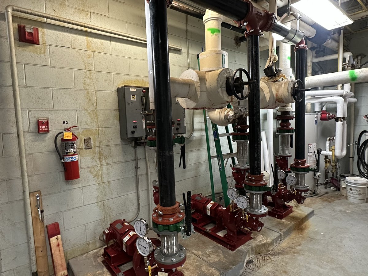 Chad Carter tweet media