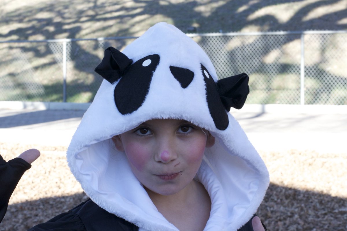 Bad Wolf Press tweet media