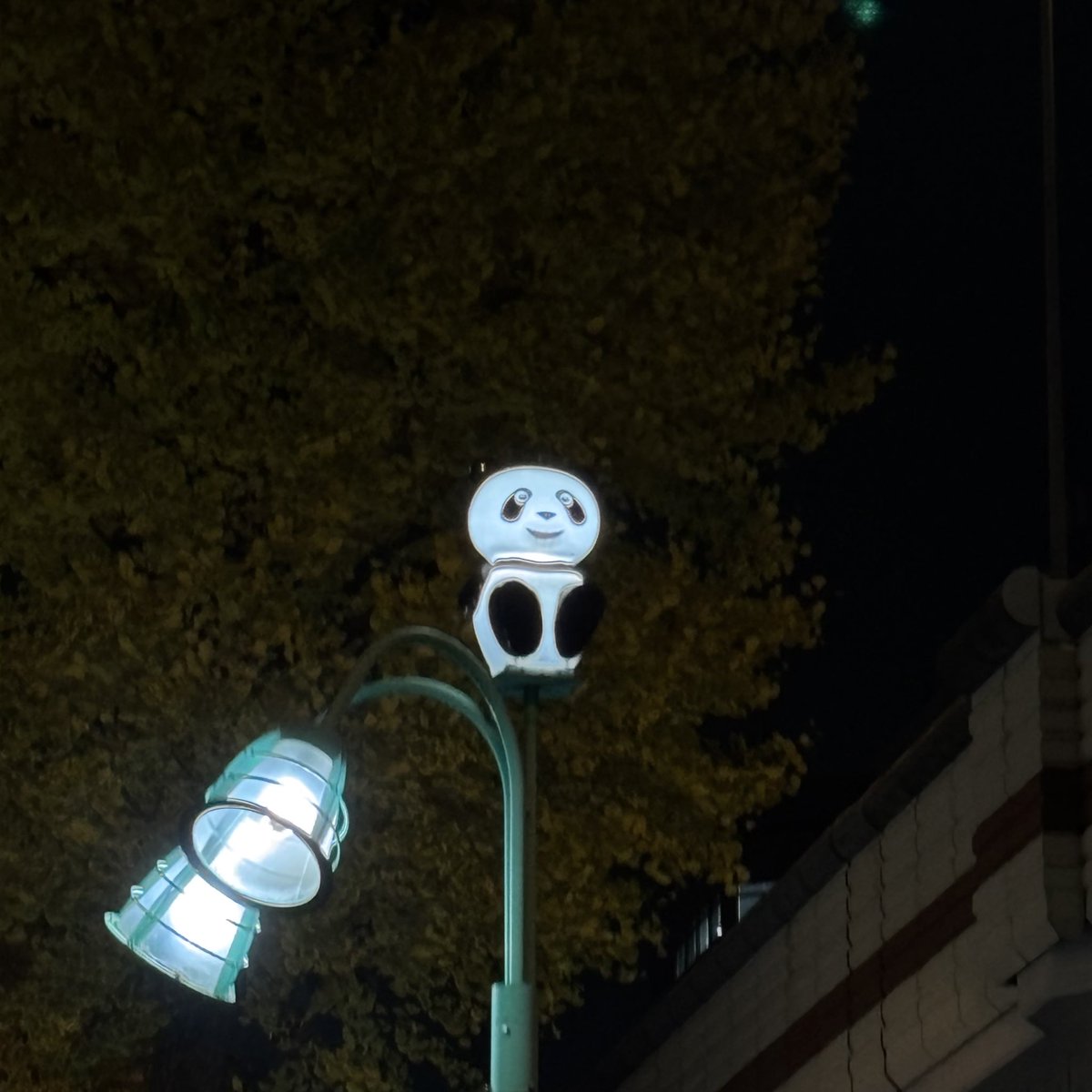 ポツンとパンダ