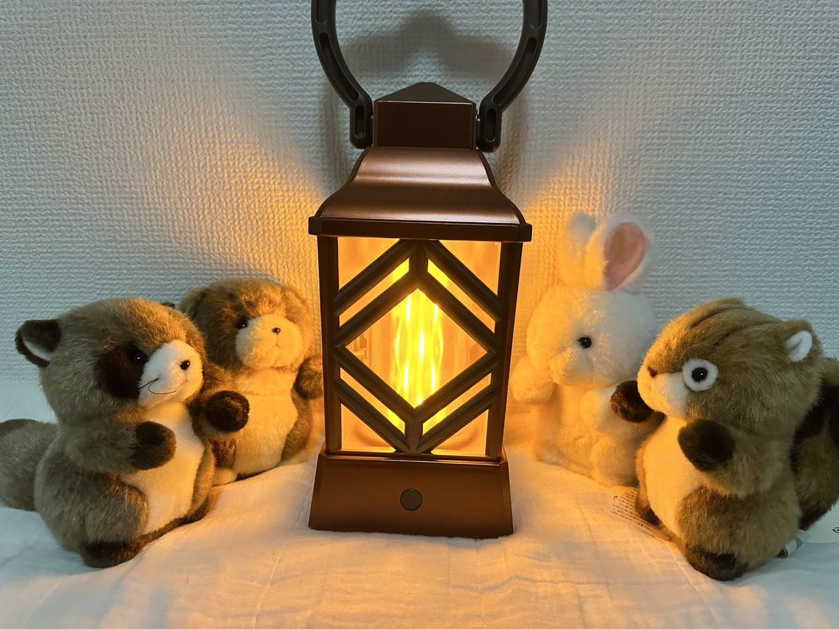 寒いので暖かそうな画像あげときます🔥 #住友館 #ランタン #森のなかま