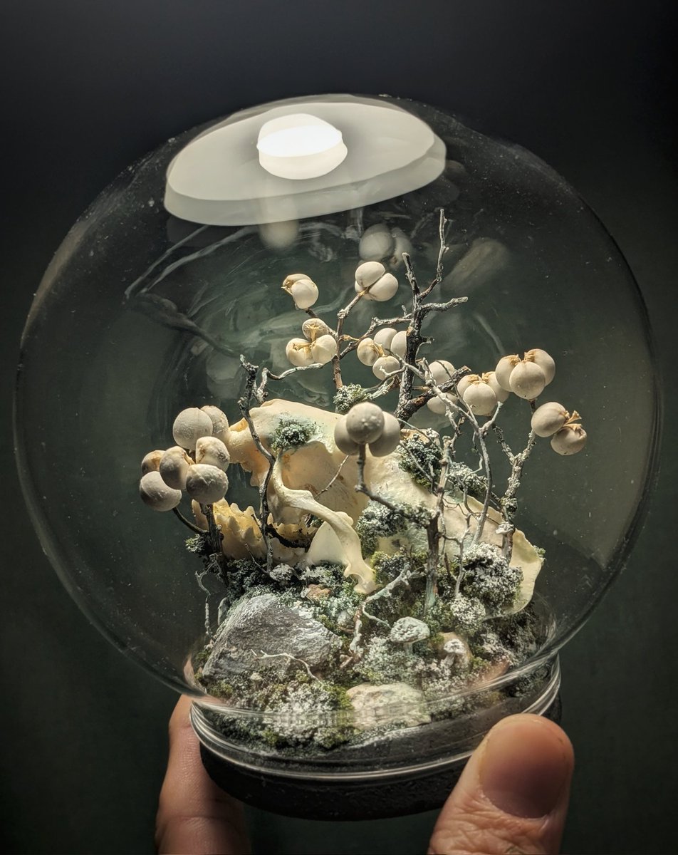 豆田 ✿ 麦 (@mametamugi) / Posts / X