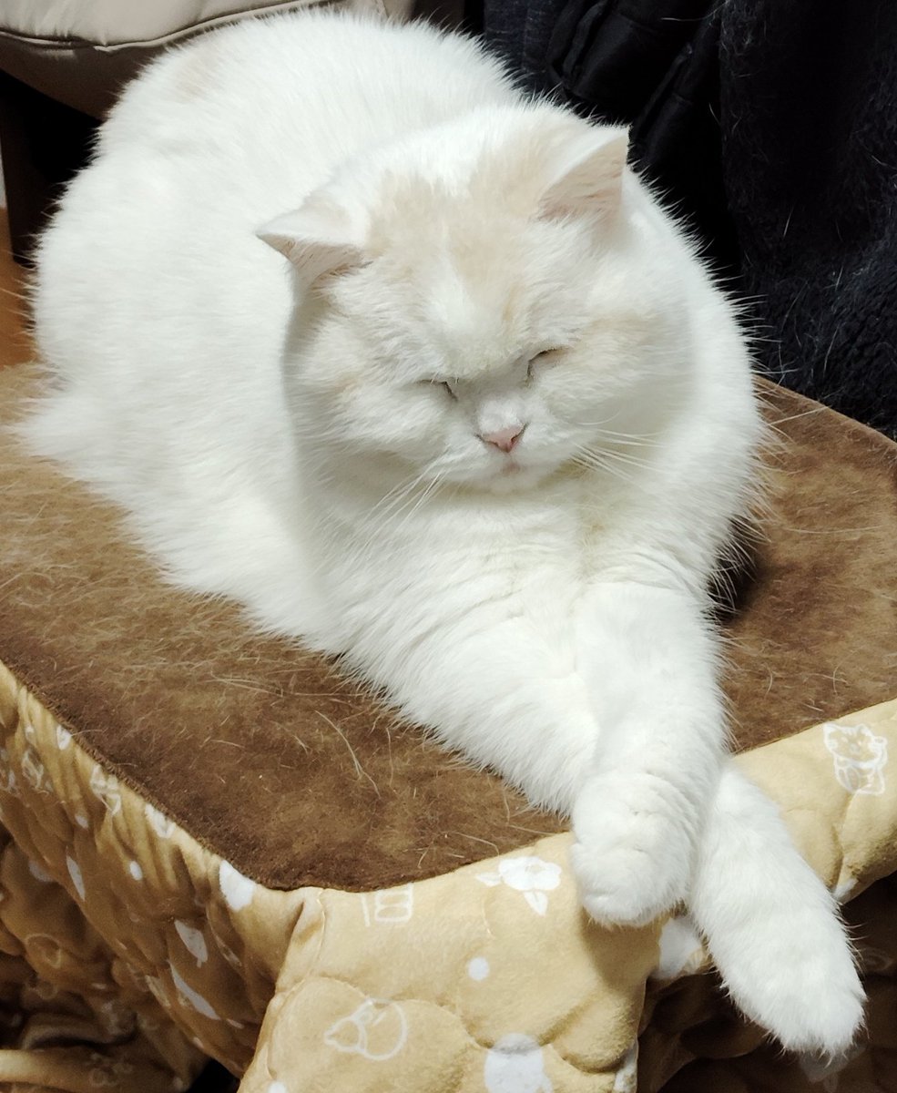 nmPMD9IHVSuldRQ 💤💤