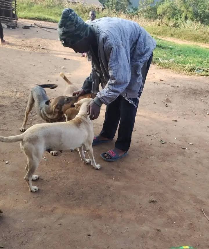 Joseph3Sengendo's tweet image. The need water but i don&apos;t have it please join in my struggle to construct a well for the animals, remember the life of every animal is equally import gofundme.com/f/dierenhulp-i…