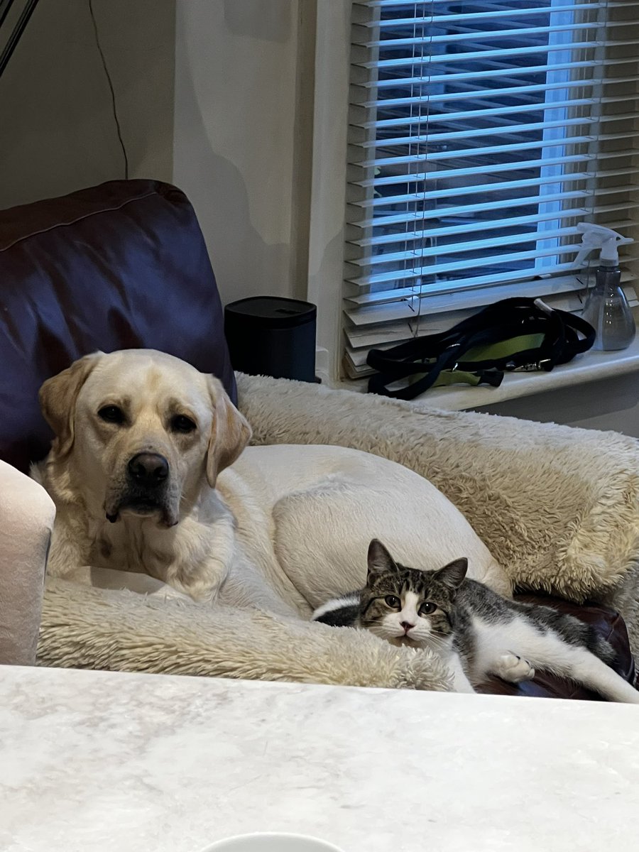 Marianne Avery | LinkedIn Coach tweet media