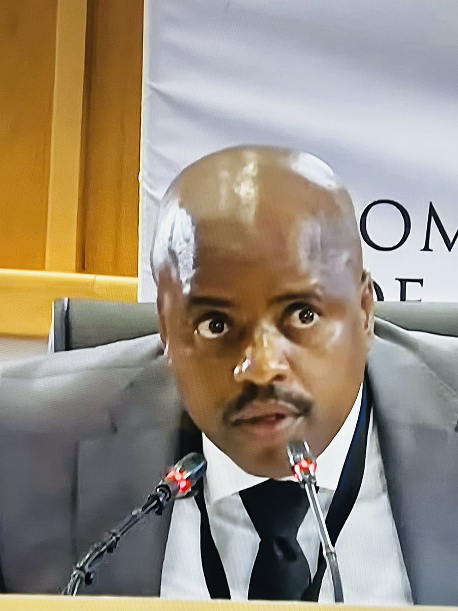 Julius Mkhwanazi must go and join his friend Cat Matlala in prison after this testimony. We heard enough already. #MadlangaCommission