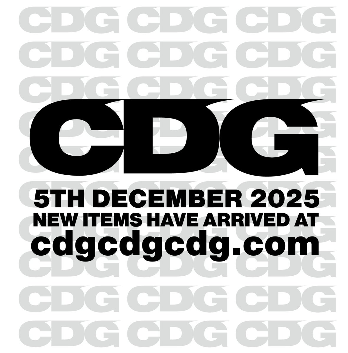 CDG x G-DRAGON Checkered Stole Mint コム デ ギャルソンの「CDG 」と