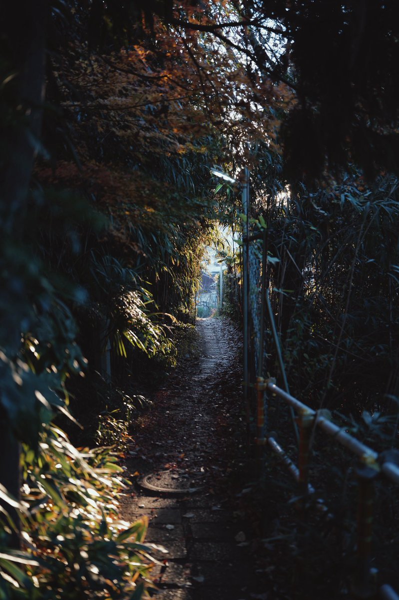 hybs + (@hybspro) on Twitter photo 