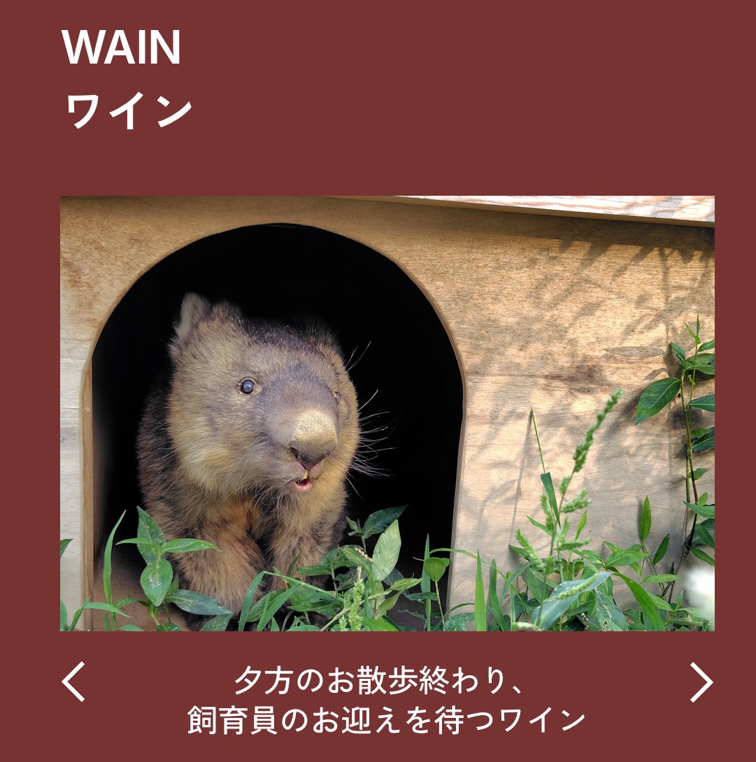 E3%82%A6%E3%82%A9%E3%83%B3%E3%83%90%E3%83%83%E3%83%88