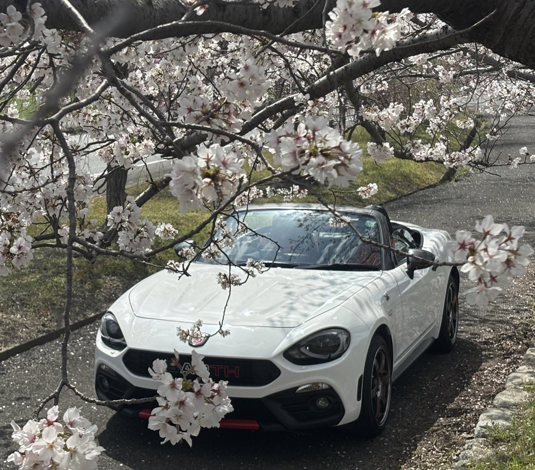 はいからさん。 タイヤ鳴かせて女泣かすな #12月4日は124スパイダーの日