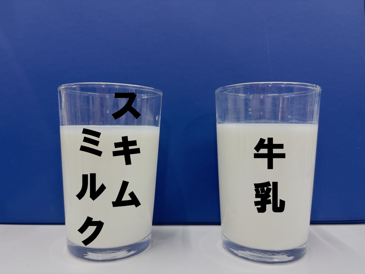 MAFF_JAPAN's tweet image. 左のコップにはスキムミルク、右のコップには牛乳が入っていました🐮

実は脱脂粉乳（スキムミルク）は、牛乳よりも低カロリーで栄養豊富なんです！
牛乳だけではなく脱脂粉乳の良さも知ってもらいたいから

＼＼スキムミルク生活始めます／／

#牛乳でスマイルプロジェクト
#スキムミルク生活