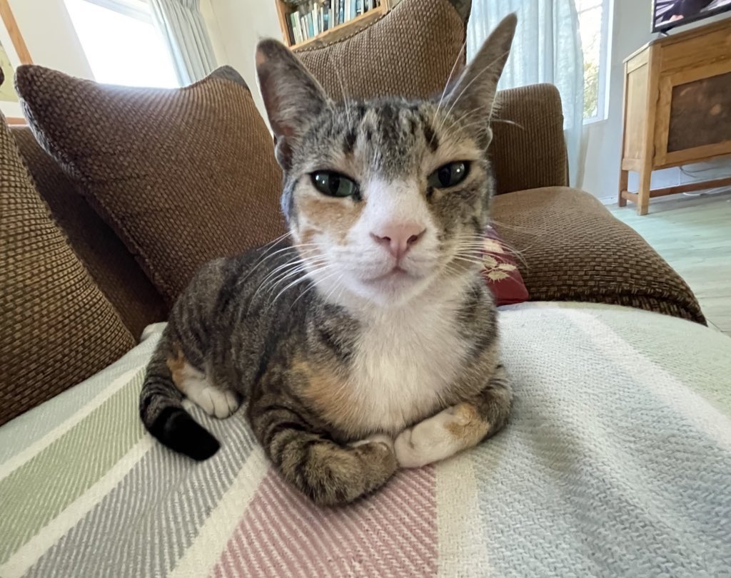 Add more customisation options <a href="/FortniteStatus/">Fortnite Status</a> 🙏