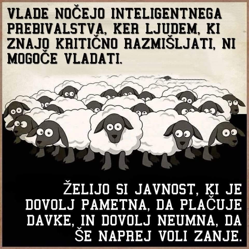 Resnica‼️