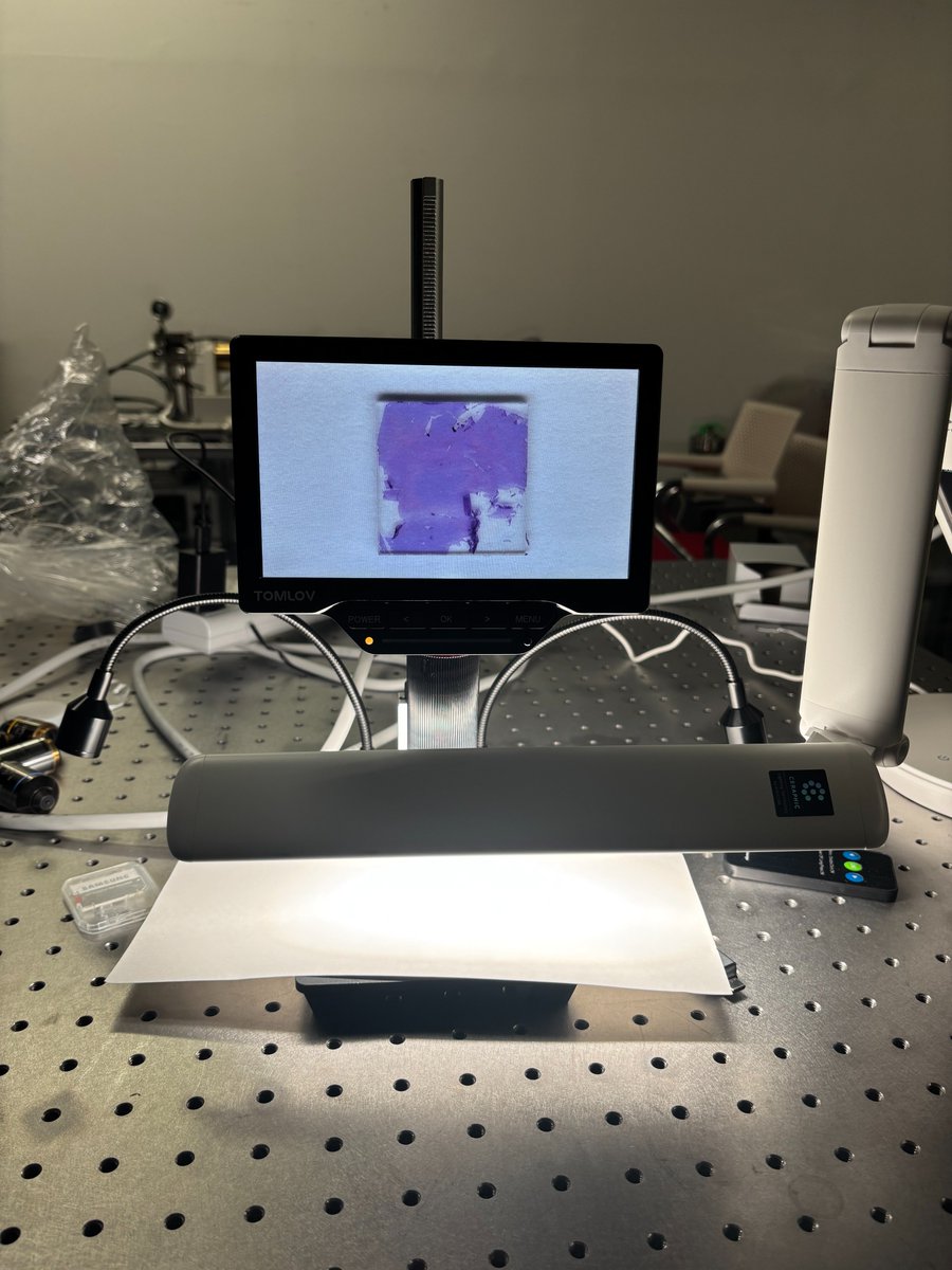 Taishi Nishihara tweet media