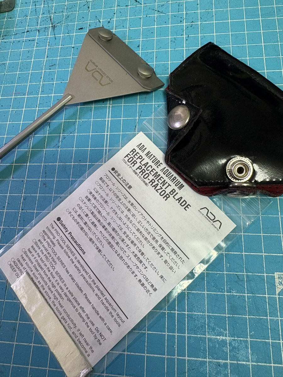 たけとら🦭 (@t_a_k_e_t_o_r_a) / Posts / X