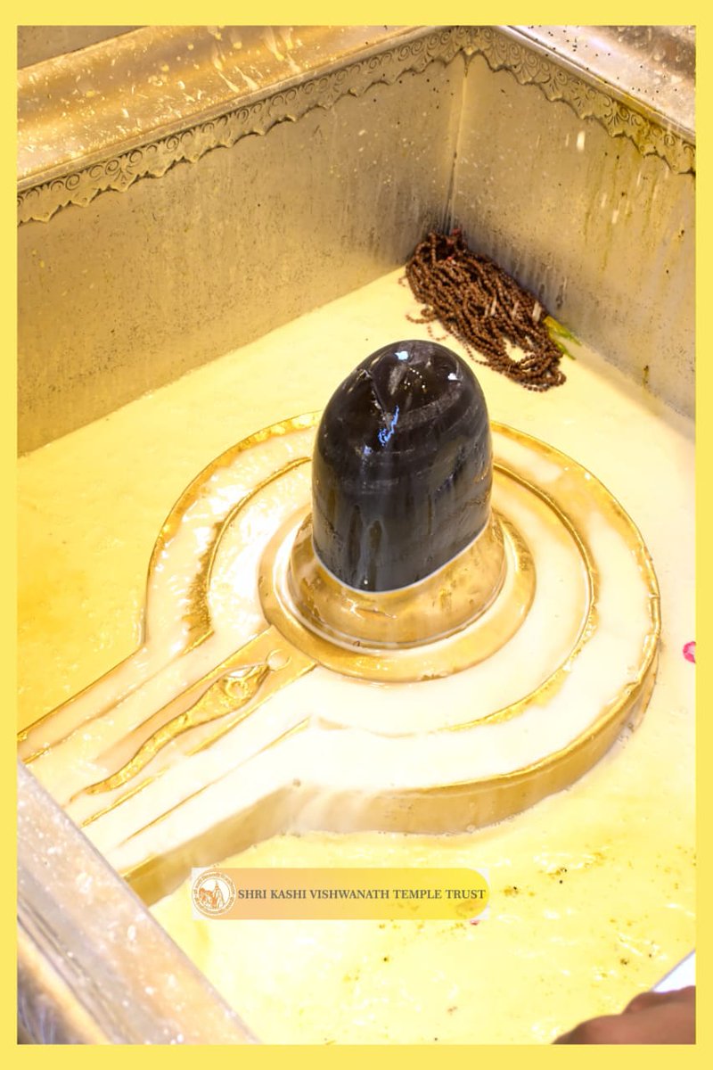 श्री काशी विश्वनाथ जी की मध्यान्ह-भोग आरती I
#kashi #darshan #kashivishwanath #VishwanathDham #blessings
