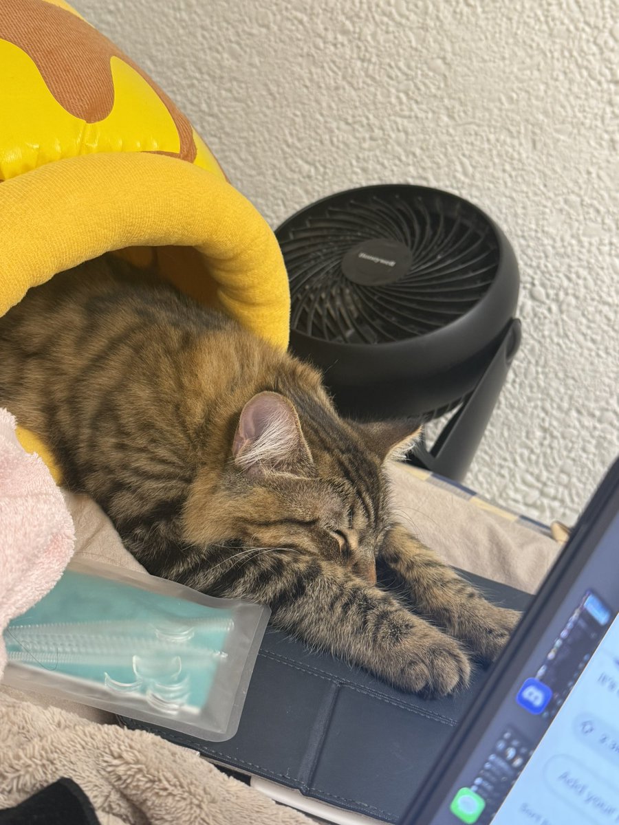 crying myself to sleep and he’s just laid out like this