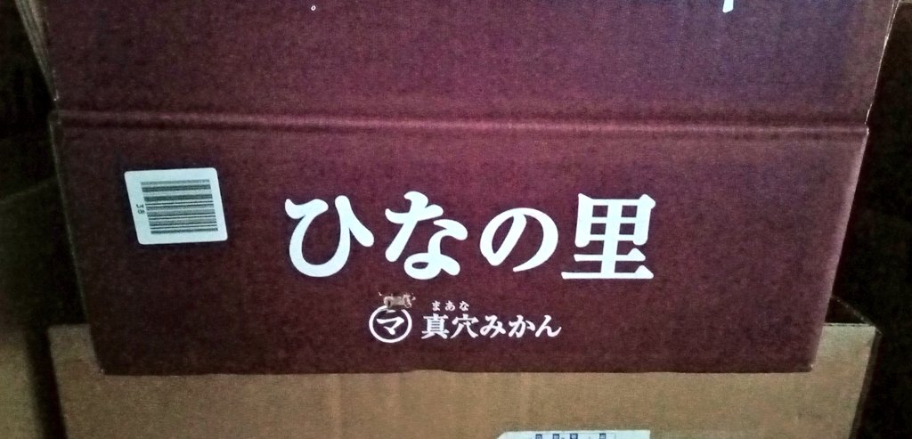 09HIVE's tweet image. #ねえねえひなの #橘ひなの
横綱ひなーのおるって
