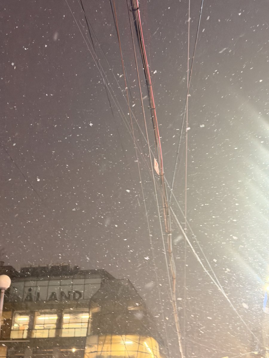 사랑이 넘치는 공간… #kizamu25
명명이님 생일축하합니다🥳🎂🐶
더더 많은사람에게 사랑받고 더더 천재강아지로 쑥쑥크셔요//
불님도 화이팅❤️‍🔥👍 최고의생카추천합니다
(보고 나오는데 눈까지 내려서 넘좋은경험이엇더。)