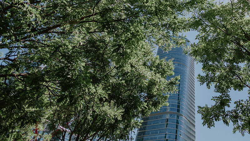 OliverWyman's tweet image. AI leaders regard uncertain environments as opportunities rather than risks, are committed to clear customer value and strong competitive positioning. A field guide to their practices, strategies, and cultures: owy.mn/4iyLc8r