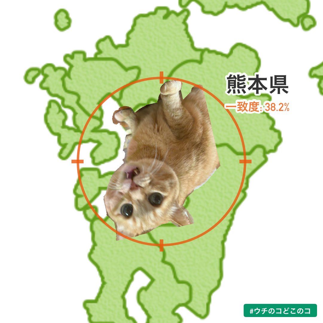 すずつむふう【我が家の可愛い猫's】 (@kagisuzu0531) / Posts / X